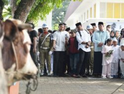 Bobby Nasution Salat Iduladha di Binjai, Pemprov Sumut Salurkan 167 Hewan Kurban
