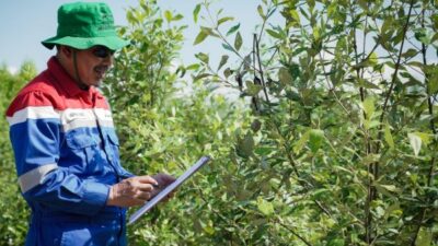 Wujudkan Ekowisata Berkelanjutan, Pertamina Patra Niaga Gandeng Warga Sungsang IV Jaga Kelestarian Pesisir
