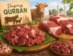 Tips Sehat Menikmati Hidangan Daging Kurban Idul Adha, Tetap Sehat dan Bebas Was-Was