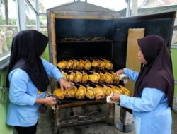Tampil di Invirotech 2026, Alat Pengasap Ikan Rendah Emisi Besutan Kilang Plaju Curi Perhatian