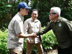 Kisah Samboja Lestari: Dulu Lahan Tandus, Kini Dilindungi Kementrans Jadi Habitat Orang Utan