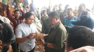 Sultan Muda Sumsel Siap Ekspor Kelapa ke Asia, Herman Deru Beri Dukungan Bersama BI dan OJK
