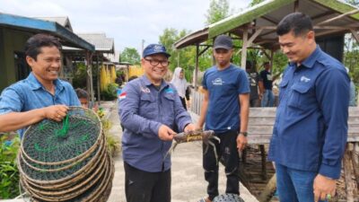 Hari Mangrove Sedunia 2026, Mengenal Rencana Perlindungan Ekosistem Mangrove Nasional 2026-2025