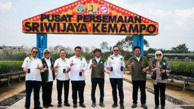 Dukung Penghijauan Nasional, Persemaian Sriwijaya Kemampo Siapkan Pasokan Bibit Berkualitas