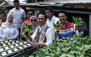 Sulap Sentra ProKlim Jadi RBI Pertama di Palembang, Ini Upaya Kilang Plaju