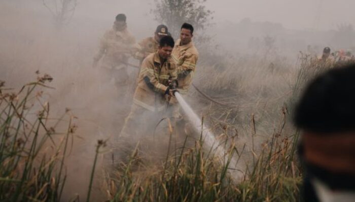 63 dari 66 Titik Api Ada di Luar Daerah, Asap Karhutla Memperburuk Udara Kota Palembang